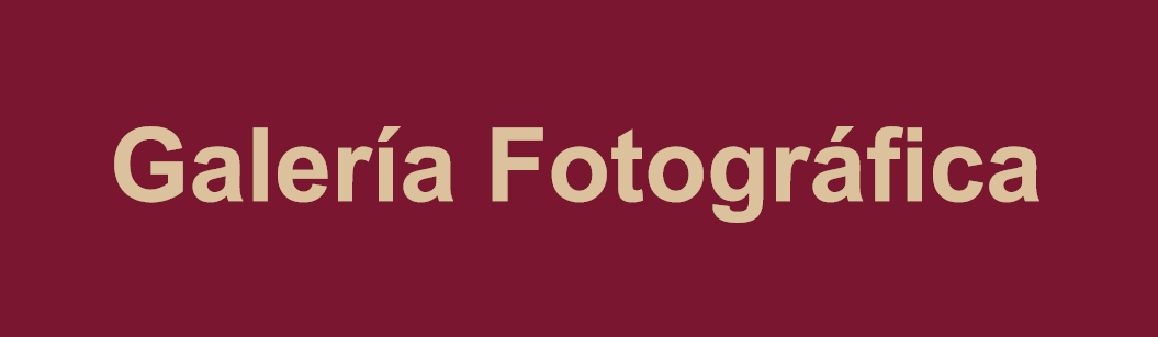 Información Pública / Denuncias