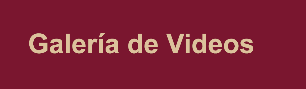 Información Pública / Denuncias